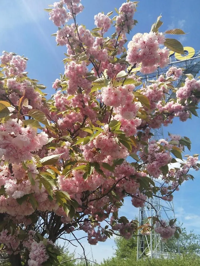 Penzion Bonsai Prága